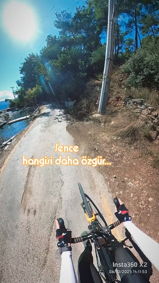 Bekar kendine aittir, evli başkalarına...
Schopenhauer, Nietzsche ve Tolstoy Üç Filozof Üç Çağ.. @ka...